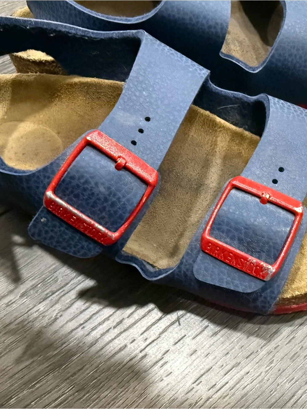 Birkenstock Milano Navy Sandals with Red Buckles